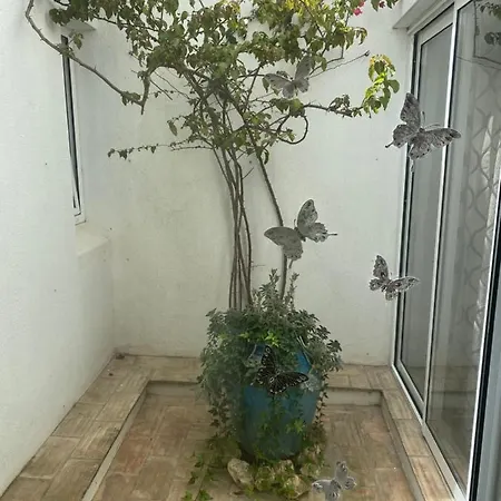 Moradia Muito Acolhedora